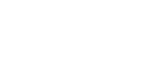 The American Cancer Fund in Partnership with American Cancer Association